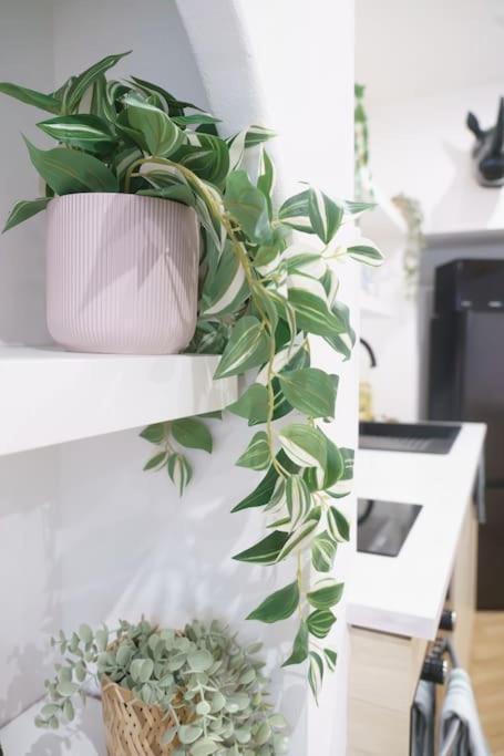 La Casa Del Chic Apartment Cabestany ภายนอก รูปภาพ